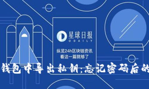如何在TP钱包中导出私钥：忘记密码后的解决方案